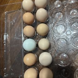 Farm Fresh Eggs