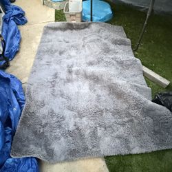 Fluffy Area Rug