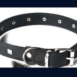 Prada Style Designer Dog Collar Size M