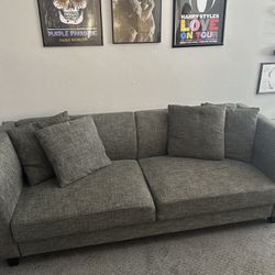 Grey Wayfair Couch 