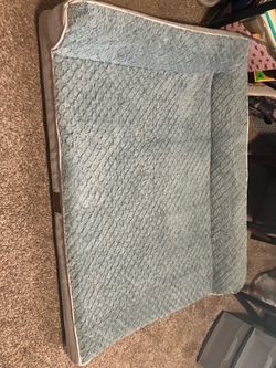 X-Large Foam dog bed