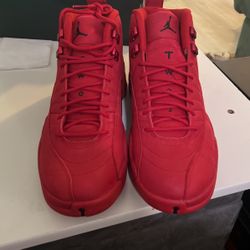Jordan 12s