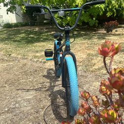 Selling BMX Bike Blue And Pegs That Are Blue 18-20 Inches 