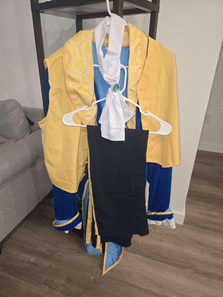Mens Beauty And The Beast Costume For Sale