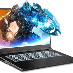 2024 NP7570E Gaming Laptop, 17.3 Inch FHD 144Hz, Intel i9-14900HX, RTX 4070 8GB, 64GB RAM, 2TB Gen4 NVMe SSD, Win 11