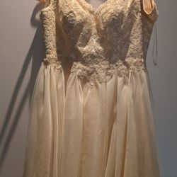 Brand New Champagne Coloured Dress With tulle Skirt