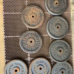 25 Lbs 1” Weight Pairs