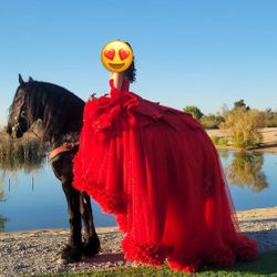 Quinceañera Dress