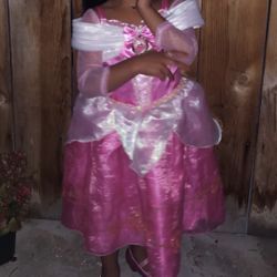 Disney Princess Dress 