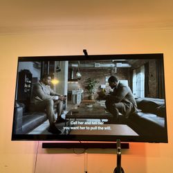 65 Inch Tv With Extended Mount 