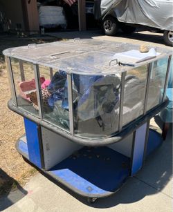 Large Glass Display Case on Wheels