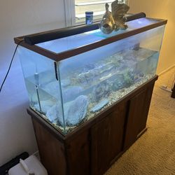 75 Gallon glass Fish Tank With Accessories And Stand