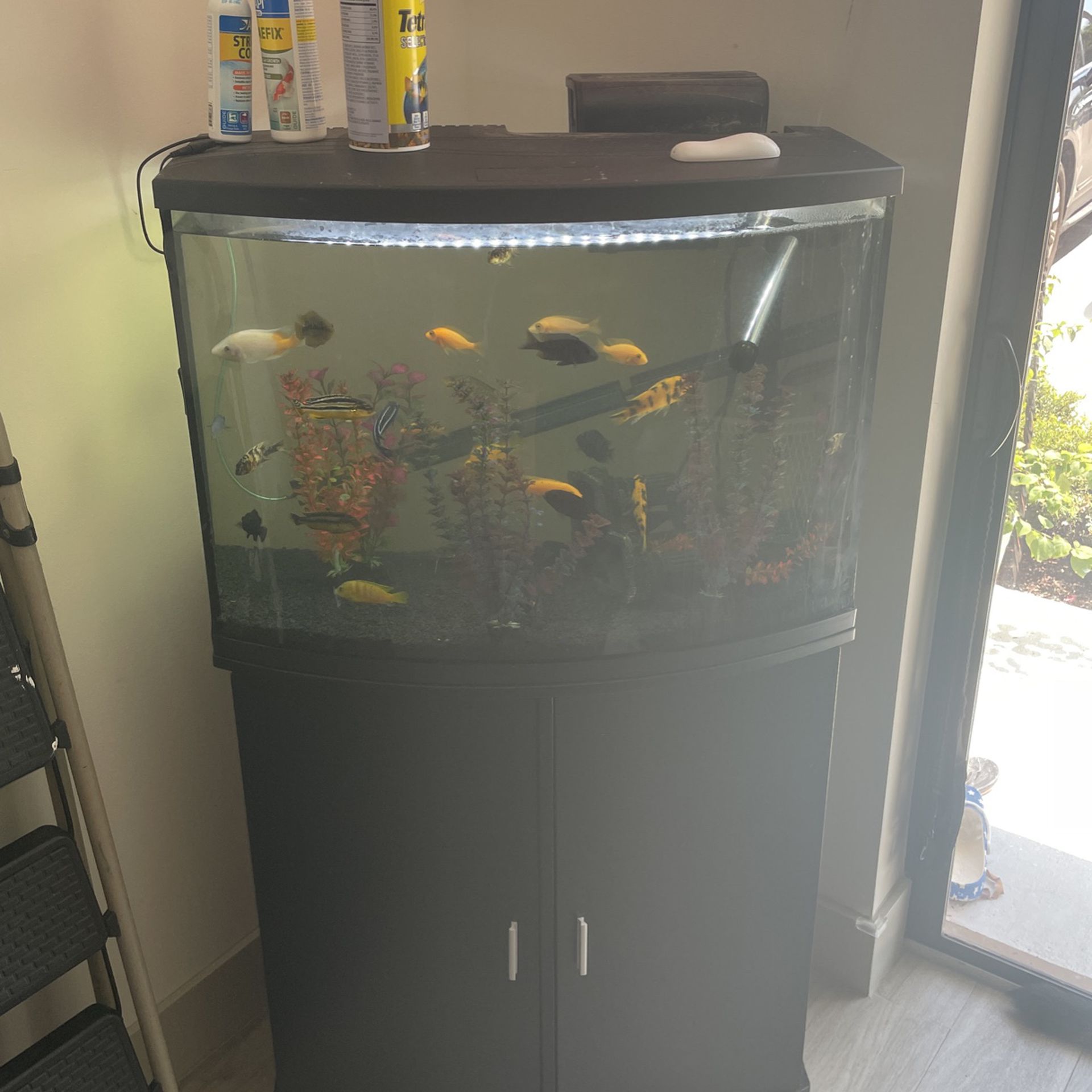 35 Gallon Fish Tank With Everything 