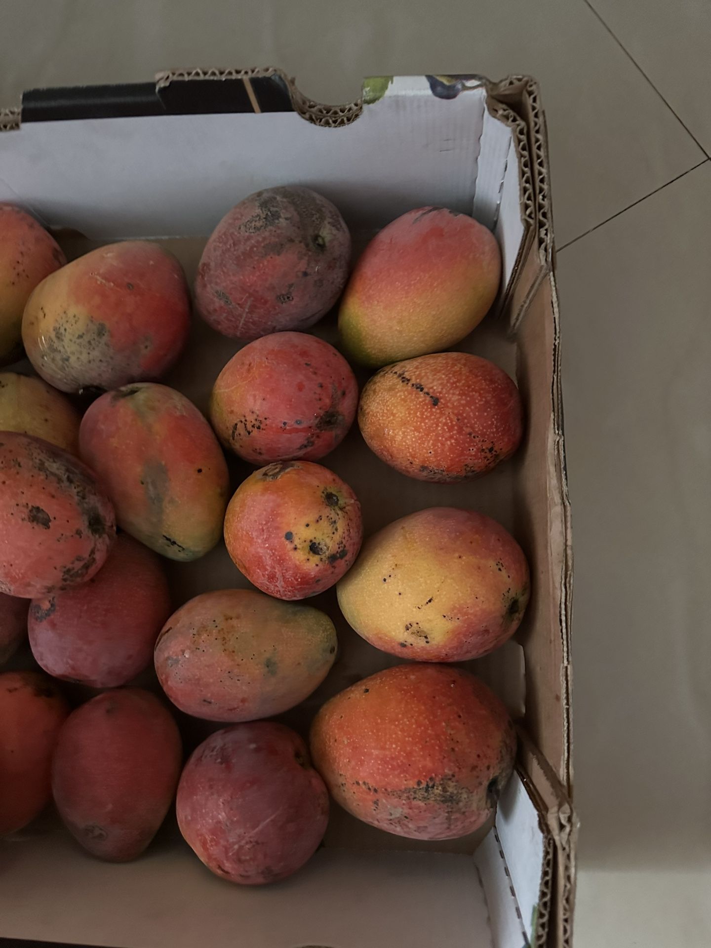 Sweet Mangoes $1 Each Only
