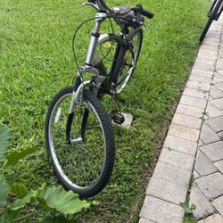 Magaritaville Bicycle