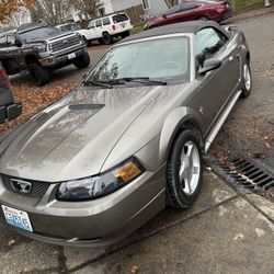 2001 Ford Mustang