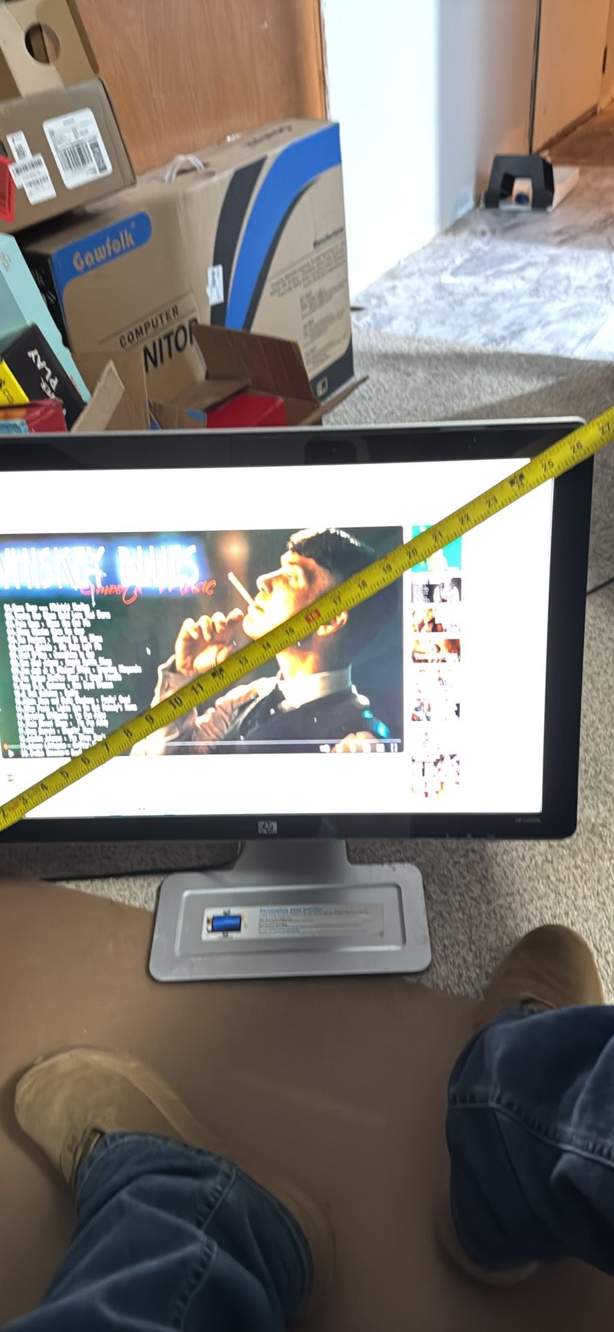 HP Monitor