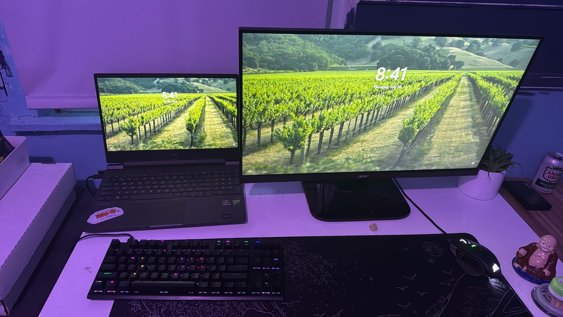 Gaming Laptop Setup