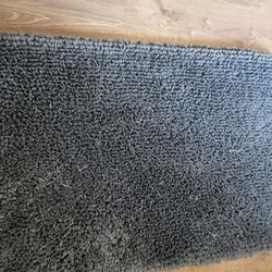 Rug For Bathroom I Change My Decor