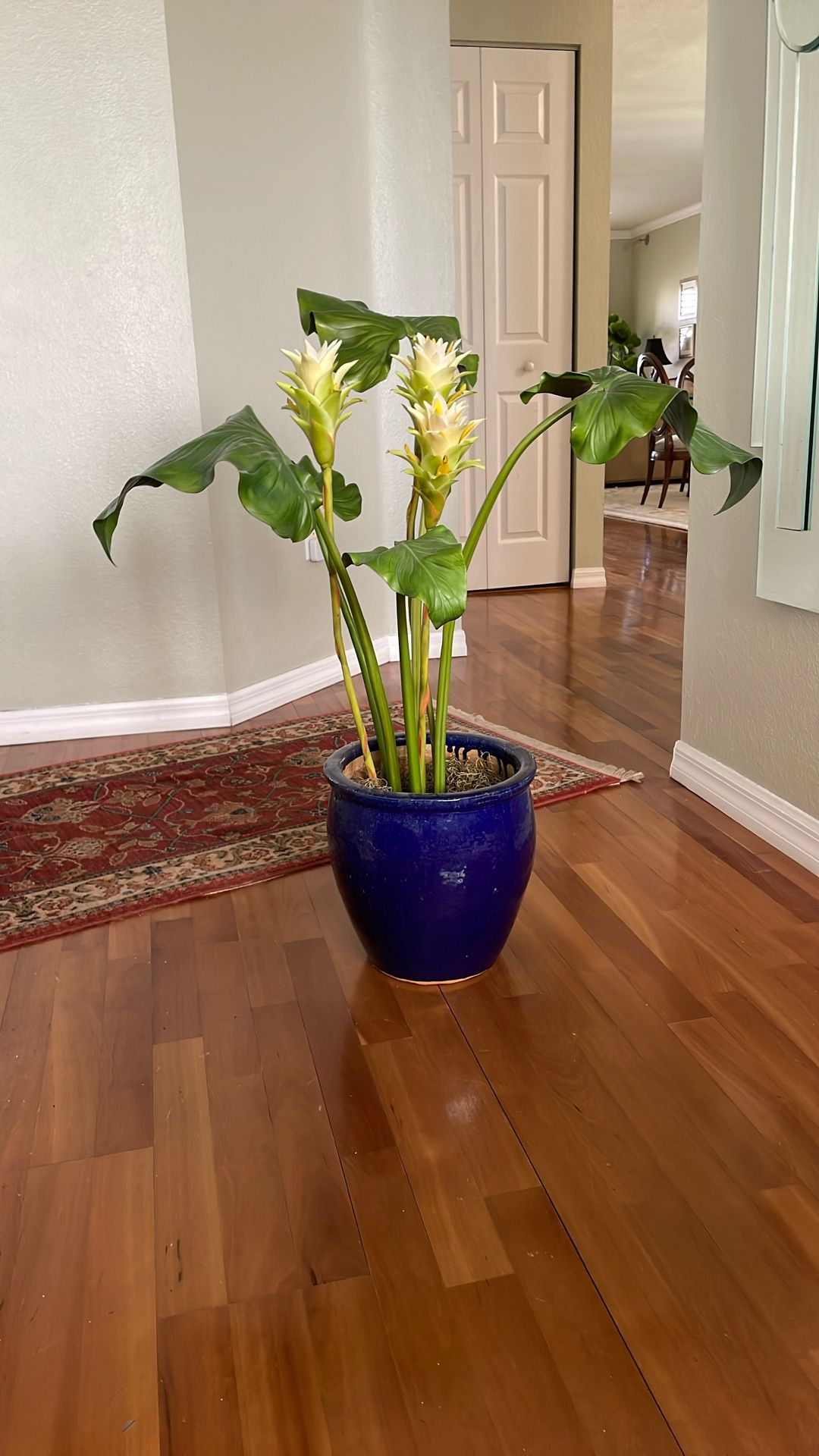 Silk Siam Tulip In Blue Ceramic Pot