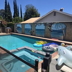 Pool Cleaning 