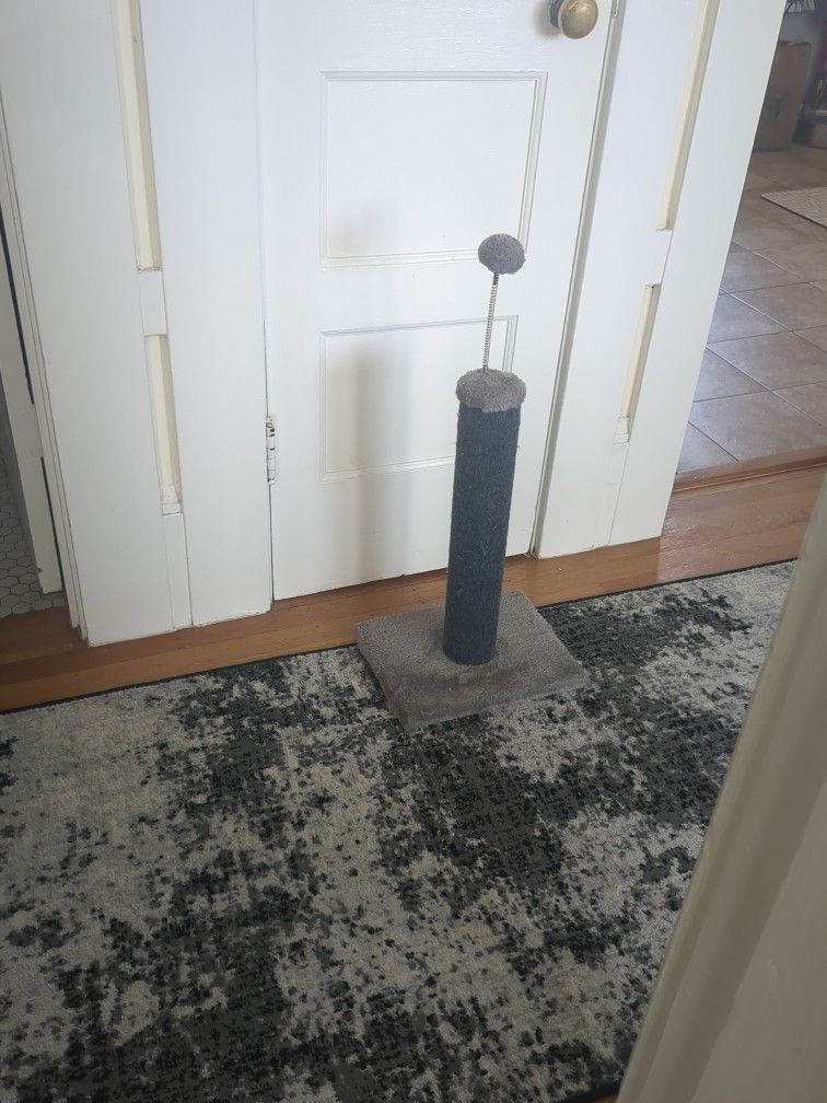 Cat Scratcher