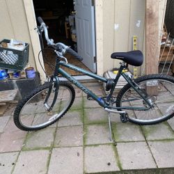 Bike  New Never Used 