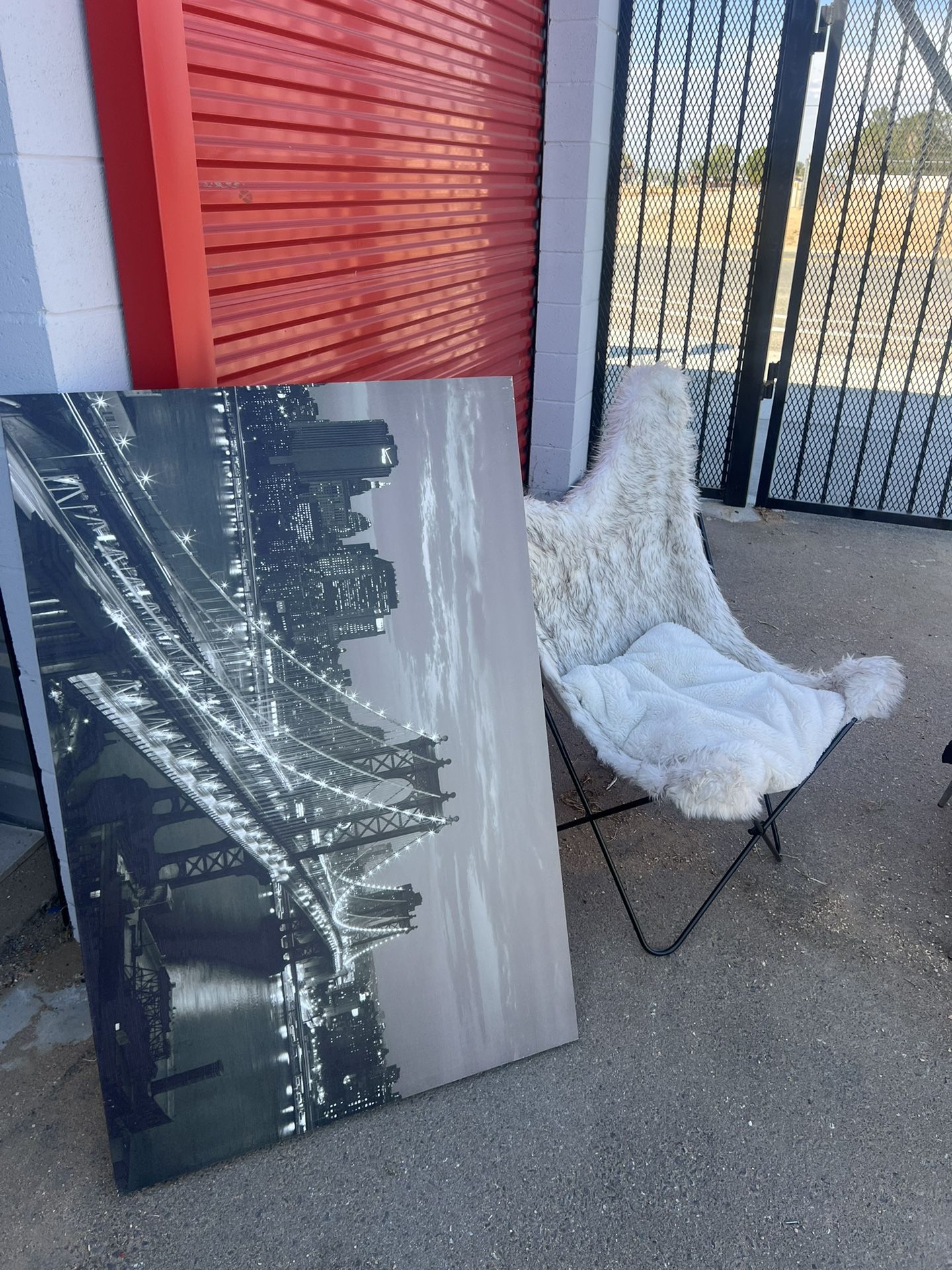 White Accent Chair (metal Frame) And Picture