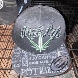 Baseball Caps