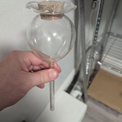 Watering Globes For Potted Plants, 6 Total