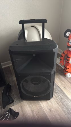 Gemini speaker