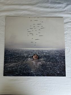Shawn Mendez Vinyl