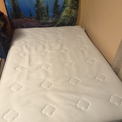Free Full Size Mattress & Frame