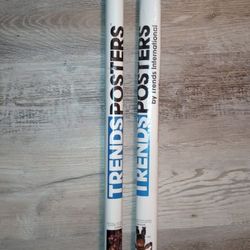 $4 for each Five Nights At Freddy's Poster