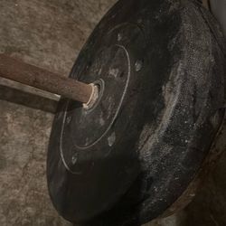 25 Lb Plates