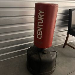 Punching Bag