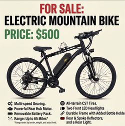 Electric Mountain Bike