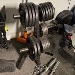 Olympic Weights, Rack, & Curl Bar