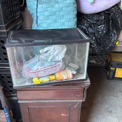Small Light Up Fish Tank