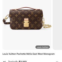 LV Purse