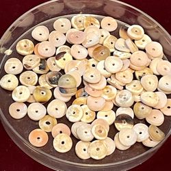 111 Seashell Beads!