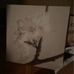 Three very nice pictures $15