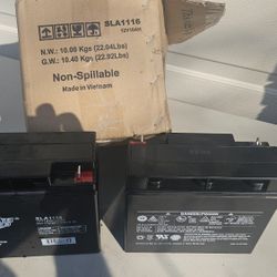 12 V18Ah  SLA1116 Battery