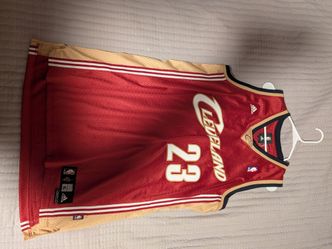 Lebron James jersey