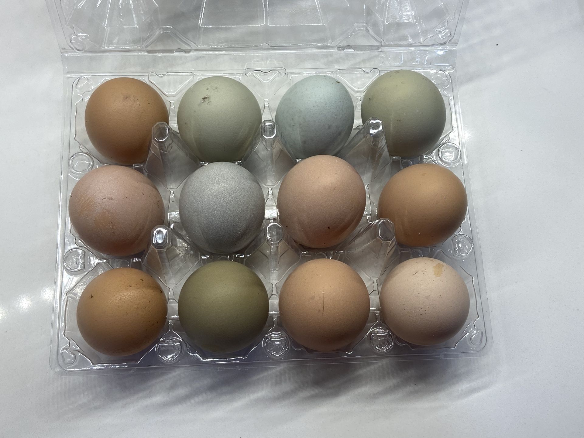 Eggs 