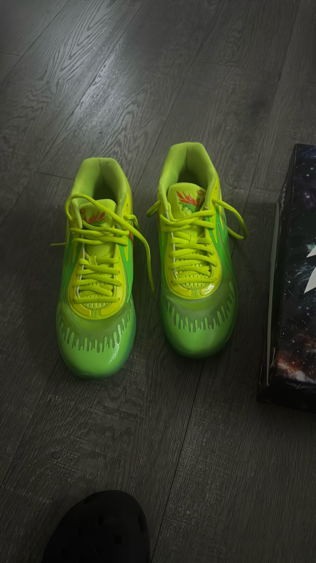 Puma Melos