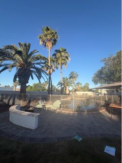 Palm pruning remove  and trees