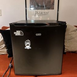 Mini refrigerator