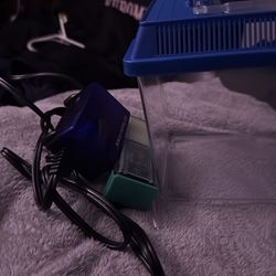 Fish beginner things