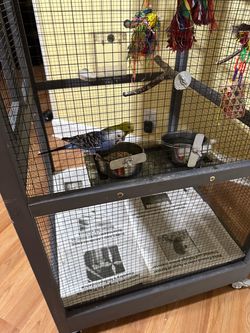 Large Metal Bird Cage with Accessories and two parakeets